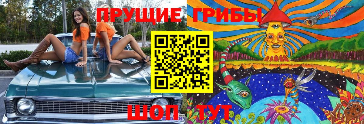 Когалым  цены   Вход с VPN  Псилоцибиновые грибы мицелий 